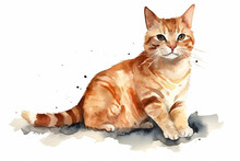 Watercolor Cat Illustration On White Background