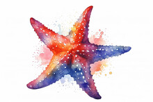Watercolor Star Fish Illustration On White Background