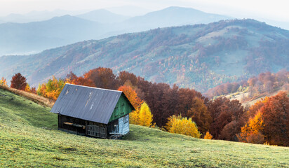 Wall Mural - old wooden house on green meadow in carpathian mountains. multicolored autumn trees on background. l