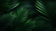 Beautiful Palm Leaves In A Wild Tropical Palm Garden, Dark Green Palm Leaf Texture Concept Full Framed