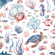 Marine Seamless Pattern Marine Animals, Corals, Plants, Seashell, Starfish, Octopus, Seahorse, Algae, Turtle. Watercolor Marine Background.