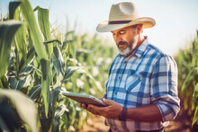 A Modern Farmer In A Corn Field Using A Digital Tablet. Farming And Agriculture Concept.