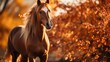 Wild and Free: Capturing the Spirit of a Horse in Autumn, generative ai