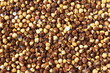 Crunchy Roasted chickpea also known in india as black roasted gram,chana,masala chana,Bengal Grams,kabuli chana or kala chana as food texture background,top view