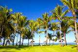 Fototapeta Do akwarium - Tall palm trees lie on a beautiful beachfront island.