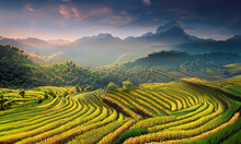 Beautiful Rice Terrace On Hills In Harvesting Season, AI Generated