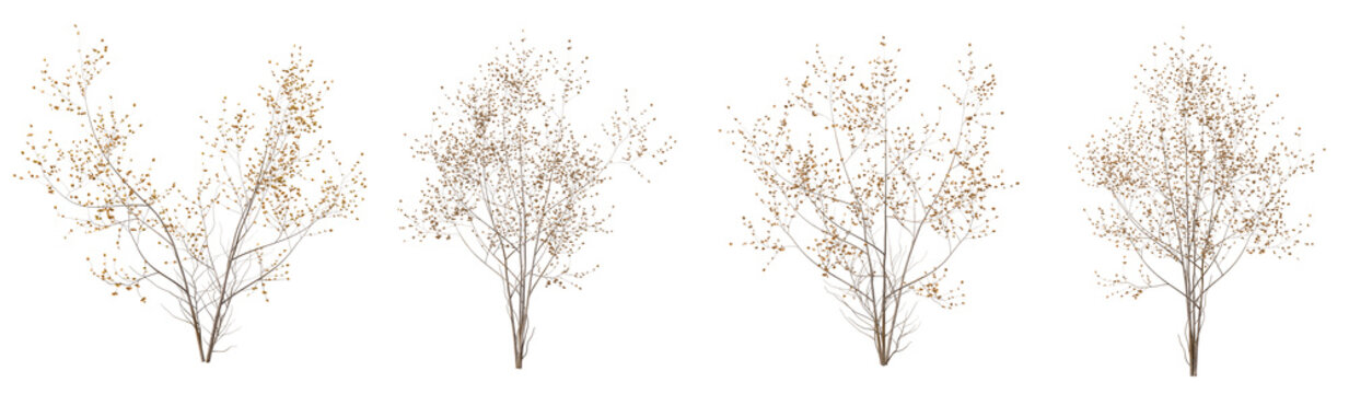 Set of dead plant and dry tree with isolated on transparent background. PNG file, 3D rendering illustration, Clip art and cut out