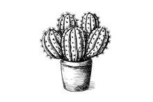 Cactus Hand Drawn Ink Sketch. Engraving Style Vector Illustration