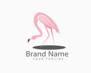 Wall Mural - walking flamingo looking logo symbol design template illustration inspiration