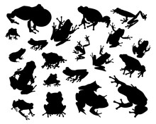 Set Of Frog Silhouette