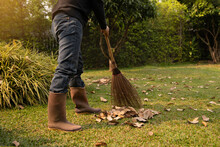 A Man Sweeping Dry Leaves In Garden At Home