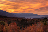 Fototapeta Sawanna - orange sky sunset with Autum colored trees in Patagonia