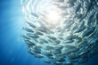 shoal of marine fish underwater shot from below