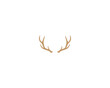 Antler logo, Deer logo, Wild animal, Deerhorn logo illustration vector