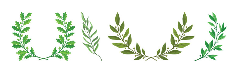 Wall Mural - Green Twig and Wreath of Branch with Leaves Vector Set