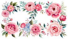 Pastal Flowers, Peonies Rose, Echeveria Succulent, White Hydrangea, Ranunculus, Anemone, Eucalyptus, Juniper Vector Design Wedding Bouquets. Seasonal Flower Card. Flat Simple Vector Illustration