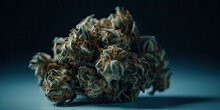 Dried cannabis buds of medical cannabis - Generative AI