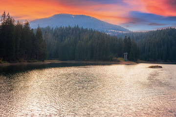 Wall Mural - landscape of synevir lake at sunset in autumn. popular travel destination of ukraine