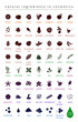 Silhouettes of natural ingredients in cosmetics vector icons set