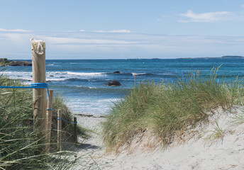 beach on the north coast of norway with dunes and grass