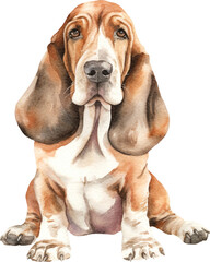 Poster - Basset dog watercolour illustration created with Generative AI technology