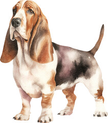Poster - Basset dog watercolour illustration created with Generative AI technology