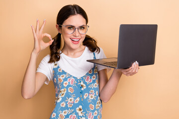 Poster - Photo of optimistic satisfied girl with curly ponytails wear blue overall hold laptop showing okey isolated on pastel color background