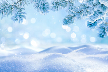 Wall Mural - Beautiful winter background image of frosted spruce branches and small drifts of pure snow with bokeh Christmas lights and space for text.