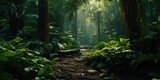 Fototapeta Las - AI Generated. AI Generative. Wild tropical jungle forest park tree landscape. Adventure travel risky explore trip background landscape. Graphic Art