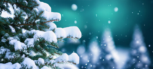 Poster - Winter Christmas natural background. Beautiful spruce branches covered with snow caps in the forest.