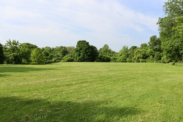 The green country field on a sunny day.