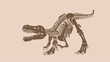 Graphical  vintage skeleton of tyrannosaurus , vector dinosaur of jurassic period, illustration for educational books,printing