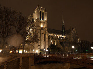 Wall Mural - Notre Dame de Paris Cathedral and Seine River in the Night, Paris, France. High quality photo