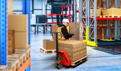 Wall Mural - Factory warehouse. Man storekeeper near boxes. Pallet jack with parcels. Industrial warehouse interior. Factory storage area. Warehouse manager with laptop. Hangar with shelving for long-term storage