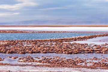 Wall Mural - Stones dividing the shallow waters of Tebinquinche lagoon in Atacama desert