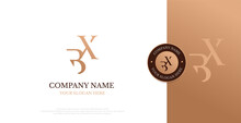 Initial BX Logo Design Vector 