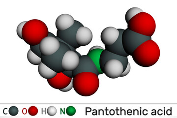 Sticker - Pantothenic acid, vitamin B5, pantothenate molecule. Molecular model. 3D rendering.