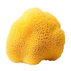 Wall Mural - yellow sea sponge isolated on transparent background cutout , generative ai