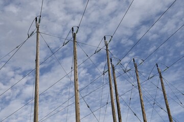 Power poles and lines with blue sky with clouds in background.