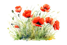 Watercolor Red Poppies In Green Grass. Vector Illustration Design.