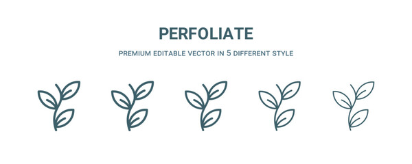 Sticker - perfoliate icon in 5 different style. Thin, light, regular, bold, black perfoliate icon isolated on white background.