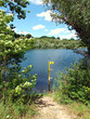 Pegelstand-Anzeige in einem keinen See im Sommer, der umgeben von grüner Natur ist. 