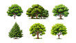 © ellyson - Collection cartoon Trees Isolated on White Background. Vector flat set illustration agricultural garden and nature park plant. Flat forest flora