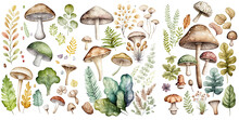 Set Of Mushroom Watercolor Collection Of Hand Drawn, Mushroom Beige Brown And Gray Color, Mushroom Elegant Watercolor , Mushroom Isolated Transparent Background, PNG.