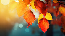 Nature Of Red Leaves On Beautiful Yellow Bokeh Background And Copy Space For Text. Using As Autumn Environment Cover Page. Generative Ai	