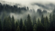 Panorama banner featuring a breathtaking and mystical landscape of rising fog amidst the forest trees in the enchanting Black Forest (Schwarzwald), Germany.