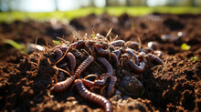 Many Living Earthworms For Fishing In The Soil, Background Generative AI
