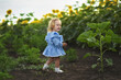 © Hanna - Little beautiful girl in a field of sunflowers. Child in a summer field