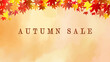 秋の紅葉と秋色の水彩背景のオータムセールのベクターイラスト背景バナー素材テンプレート 16:9