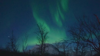 real time aurora borealis, northern lights.